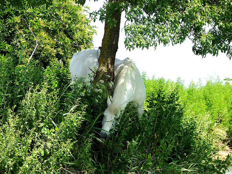 Easy Boat Palavas. Location de bateaux sans permis à Palavas les Flots. Promenade en mer ou sur les canaux. Forfait pêche. Idéal pour les couples et les familles.